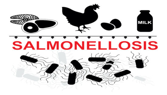 Salmonella reports in UK animals increase in 2020