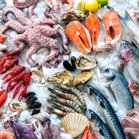 The Blue Food Assessment: Scientific consortium identifies “ocean of opportunities” for sustainable 