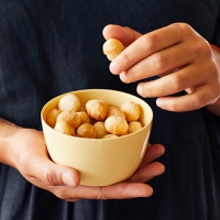 World Macadamia Organisation flags alt-dairy as key category for booming “luxury” nut