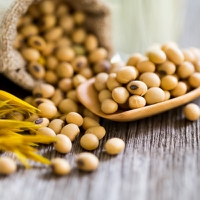 AAK taps into lecithin demand with BIC Ingredients acquisition
