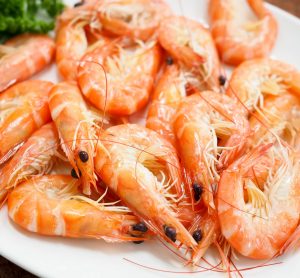 New research reveals scale of Vibrio contamination in UK prawns