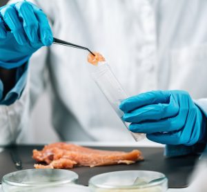 USDA to revamp Salmonella prevention efforts