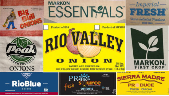 Onions linked to Salmonella outbreak recalled from states across the US and Canada