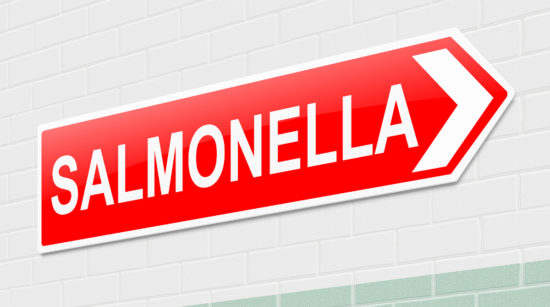 Citterio brand premium Italian-Style salame sticks linked to Minnesota Salmonella cases