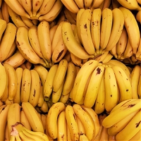 South American banana exporters urge foreign supermarkets to help mitigate “spiraling inflationary p