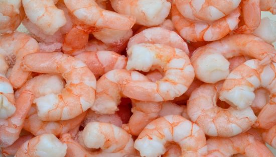 Researchers find Vibrio types in prawns in United Kingdom pose low risk to humans