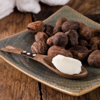 West Africa Soy Industries joins Global Shea Alliance to boost Nigerian shea sector