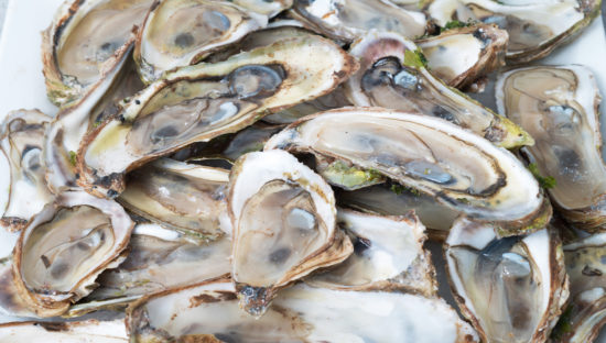 Vibrio cases prompt raw oyster warning in South Australia