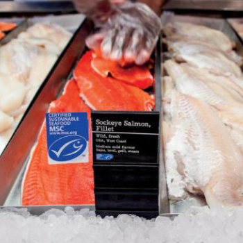 Seafood sustainability top of mind for shoppers