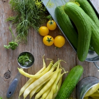 “Cucumber cuisine”: Rijk Zwaan introduces stir-fry suitable cucumber Wokcue to European supermarkets