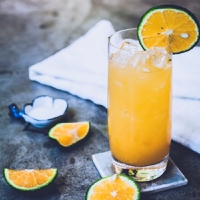 Tetra Pak and Sumol+Compal fermentation tech poised to slash sugar in juices
