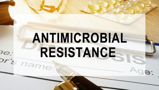 APHIS collaborates on antimicrobial use and resistance study