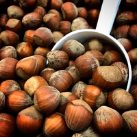 Hazelnut Trail: ofi stresses importance of human rights in Turkish supply chains amid poor labor con