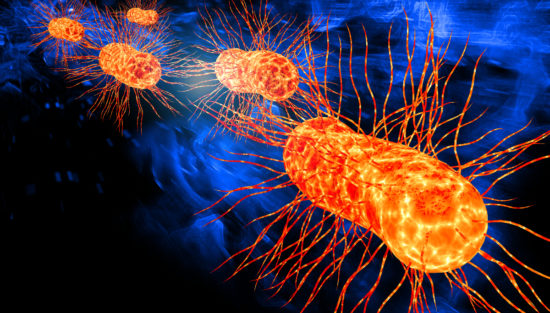 Two E. coli infections in children under investigation in Wales