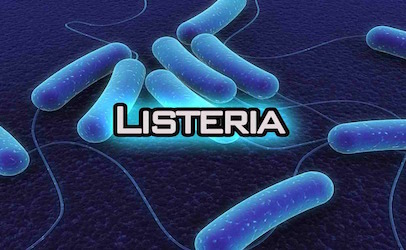 Listeria monocytogenes contamination fears spark recall
