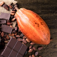 Barry Callebaut on track to fully sustainable chocolate, progress report flags