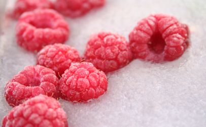 Norway links hepatitis A outbreak to imported, frozen raspberries