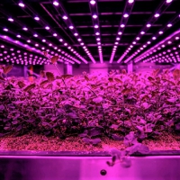 Future Crops brings vertical farming “closer to land” with automated system tailored to individual p