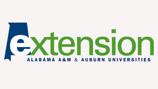 Alabama Extension System receives food safety outreach grant of $300,000