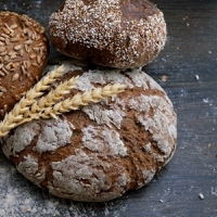 Biofortification: John Innes researchers tap into iron transporter gene in wheat