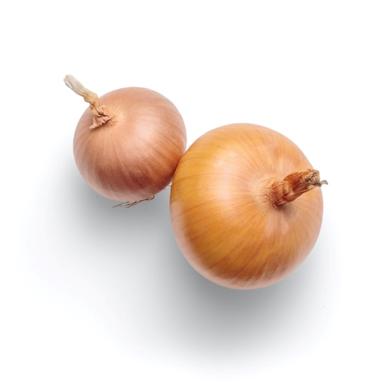 Waitrose stocks Sunions “tearless onions” to prevent kitchen crying