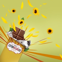 Cargill’s ExtraVeganZa launch taps sunflower kernel powder for “truly indulgent” vegan chocolate