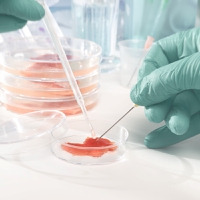 Pluristem and Tnuva target raw cultured meat in 2023 through new cultured food platform