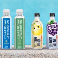 No Ordinary Drinks nets nine-figure financing to roll out flavored waters across Southeast Asia and 