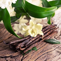 Vanilla investigation uncovers fake production and fraudulent labels