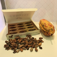 Belgian chocolatier leverages Barry Callebaut’s upcycled cacao fruit Cabosse in chocolate fillings