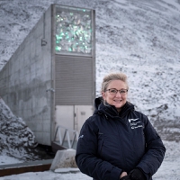 Seeds for Doomsday: Svalbard Global Seed Vault latest deposits include ancient wheat