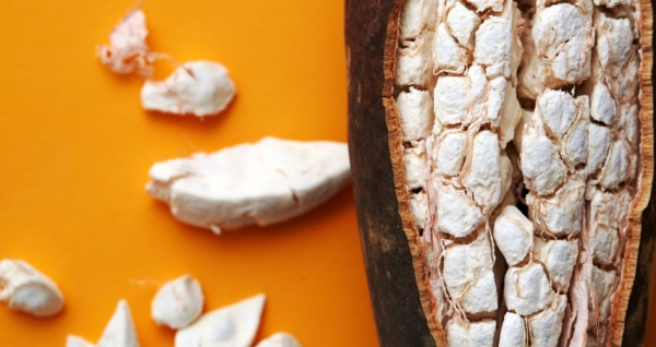 Baobab: The Ancient African Superfruit Making Waves In “Free-From”