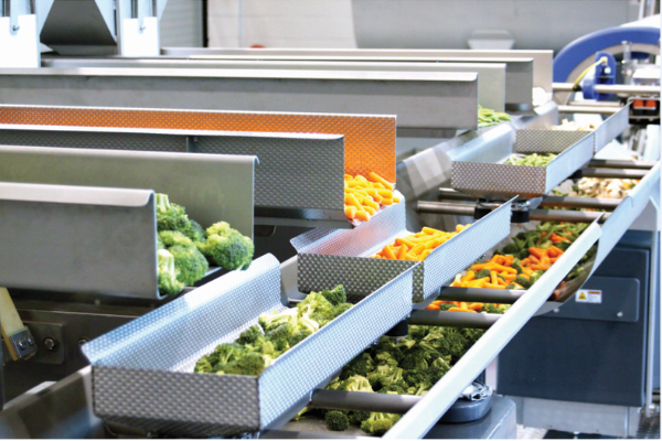Gentle, Efficient Conveying And Blending Solutions For Fresh Produce