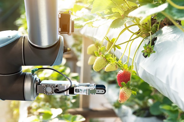 Automation Shaping The Future Of Urban Farming