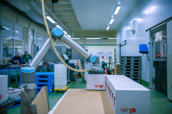 Palletising Cobot With Vision System Works In Tight Quarters In The Food Industry