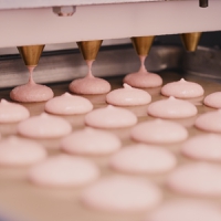 “Mining the egg proteome”: The EVERY Co showcases macaron made with chickenless proprietary egg whit