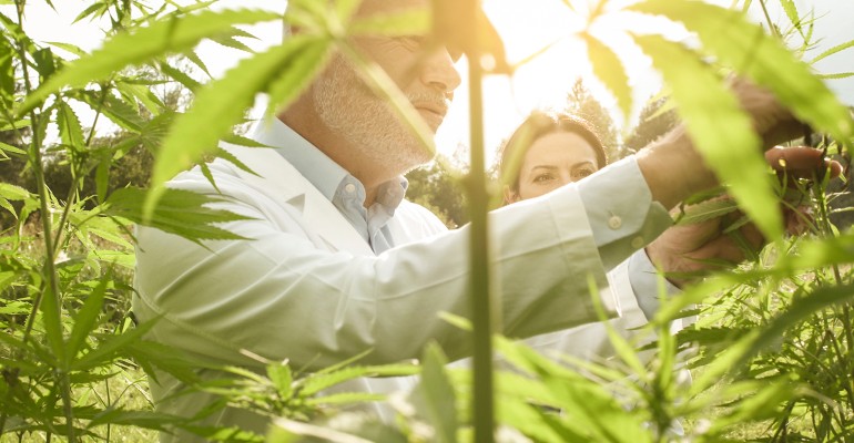 Third-party certification benefits, options in CBD and hemp product industry