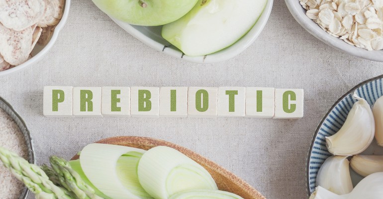 Tips for propelling already on the rise prebiotics