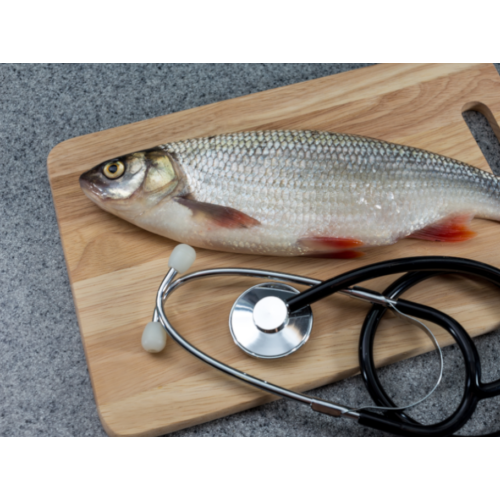 How to report seafood-related toxin and Scombrotoxin fish poisoning illnesses
