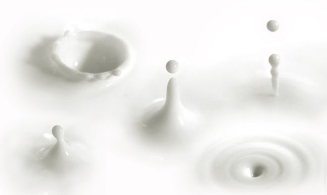 Swedish agency defends raw milk stance
