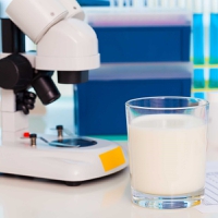 Milk processing method enables higher digestibility for dairy-sensitive consumers’ indulgence