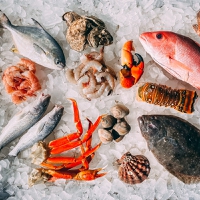 Blue revolution: Seafood sector pioneers pilot technologies and preservation methods to relieve stra