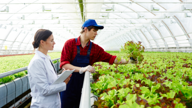Center for Produce Safety funds 14 new research projects