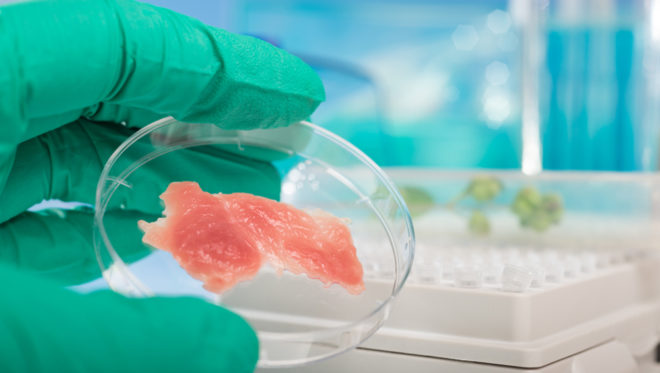 Safety of cell-based — lab-grown — food on FAO and WHO agenda