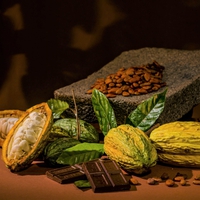 Weekly Roundup: Mondelēz expands cocoa investment, Consumers take food safety risks amid price press