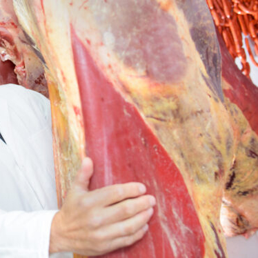 Federal meat inspection has failed to adapt to operational environment