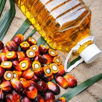 Food biology: Calyxt harnesses soybeans to produce commercial alternative to palm oil