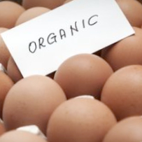 Time for a new label on ‘organic’ eggs?