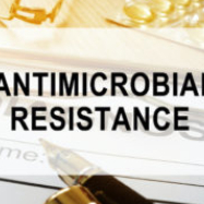 Countries share actions to tackle antimicrobial resistance