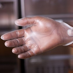 Pathogens found on half of the food-safety gloves